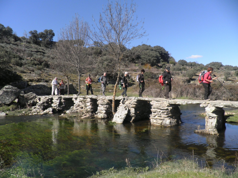 0545d99de2fbc1bb5f0d44f0fb9fcf5f