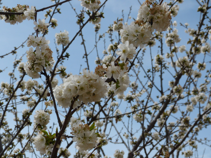 0b5abc77204b3bcd54b42dbf2abefb0f