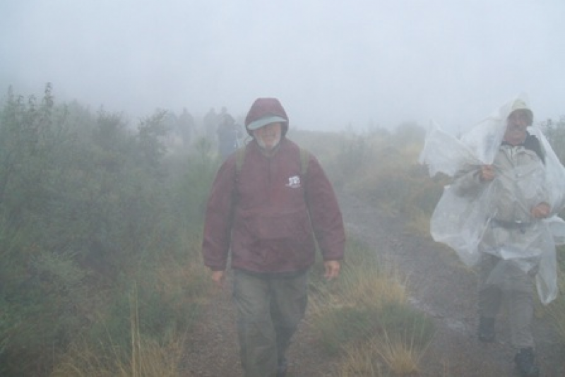 1913941d4276ecd5227fd21b15101b52