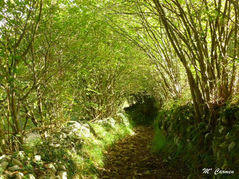 1abf682ca294a1bf7f937c66467e18c4