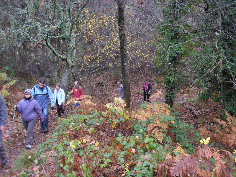 2e99293e8e32d85e5f64d882e907b987