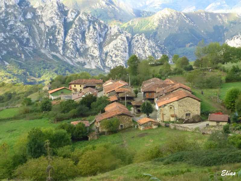 383ea81e8c323ff96295616e9fbabfcc