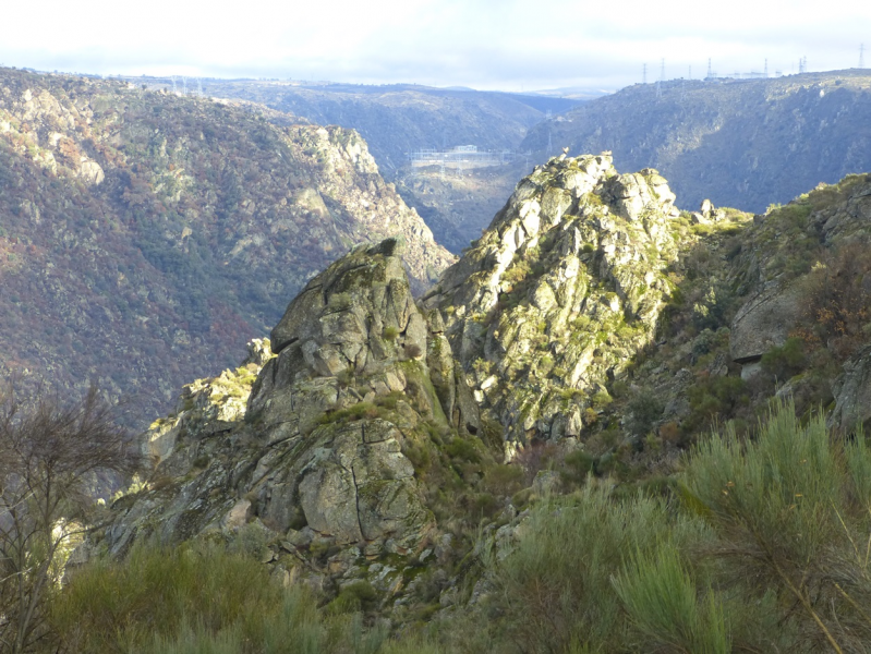 40a299c8e64e1357c265bb0041eecc30