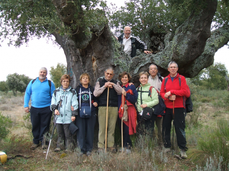 4167c63672f68eade410078578033c54