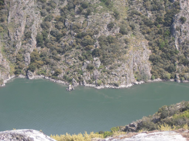 47d88489d97340500e2f6e3756d85cf7