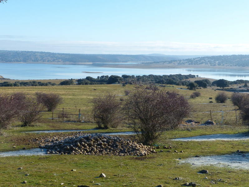 4f85dba2976e5393a389e258f6faa61b