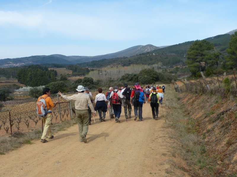 5f05accdcf43ff5c3c3fb2bae29802ee