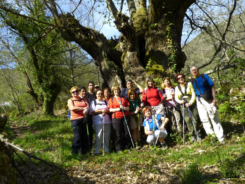 61cae545cd58594174e285da094daf0b