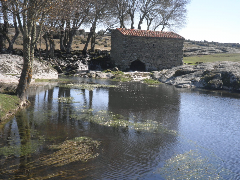 650b506ebcb91df80badac4e5a9c067a