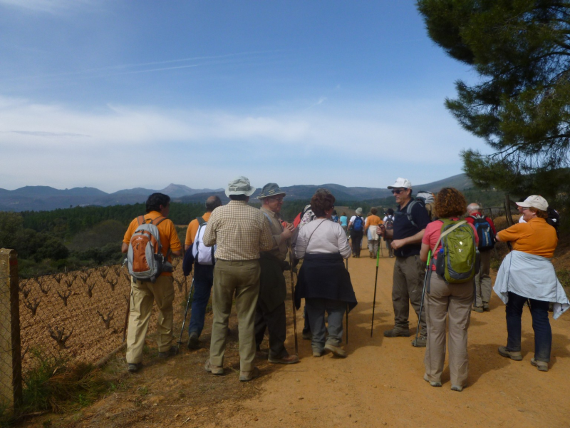 768909df45e5974789dc372406398fa4