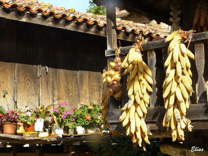 83acf7a4573651094a3504ac1fb9288c