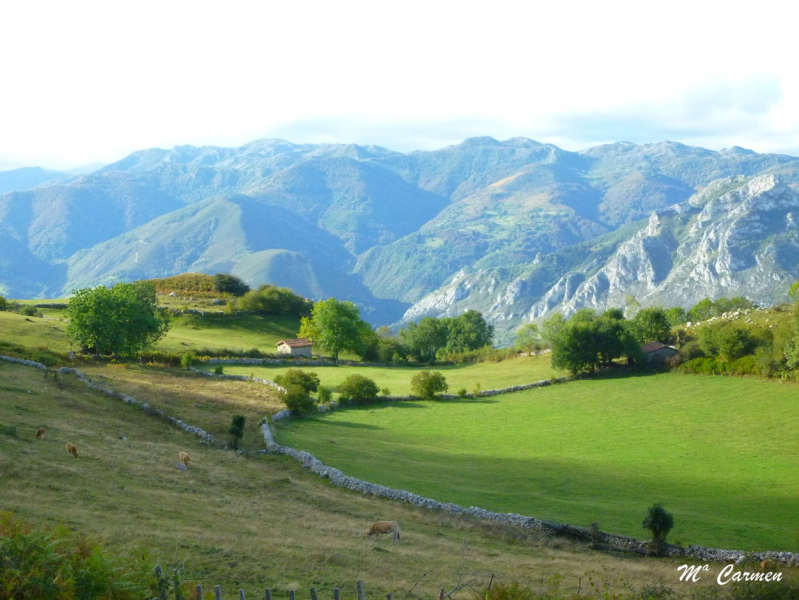 8c2fc5b3ca751ce51295f7cb4119d762