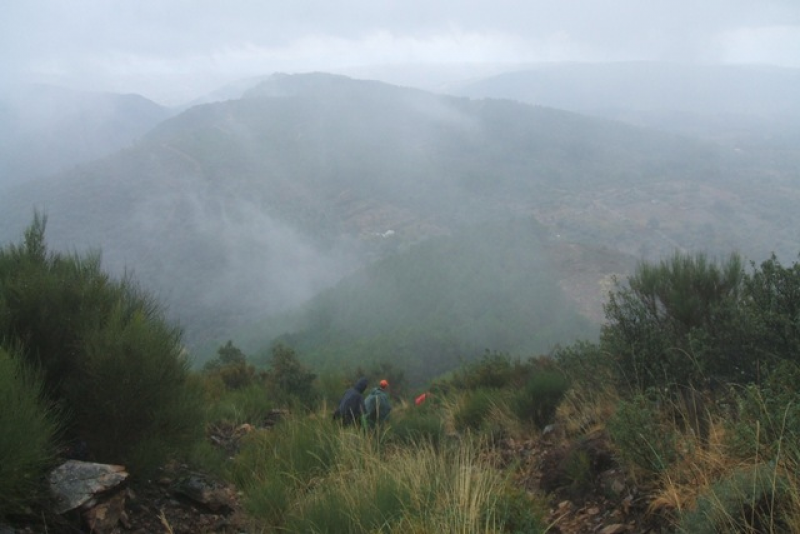 8e9fbe0e2b668eeaf5ea710c0646504a