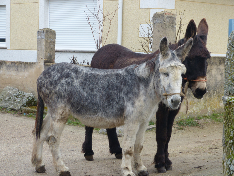 8fd3331930d34d153fd8153a6d140034