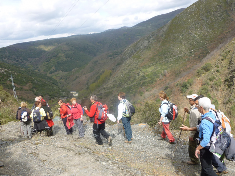 9a0264322c97de3854de9c52d8bd1b0c