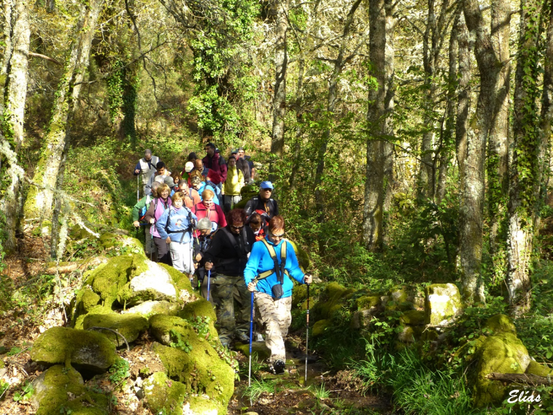 9e0fa0cac69f9781070a62f38b507524