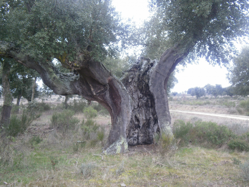 A12878ad24bd9febd9d8c74e772f3e38