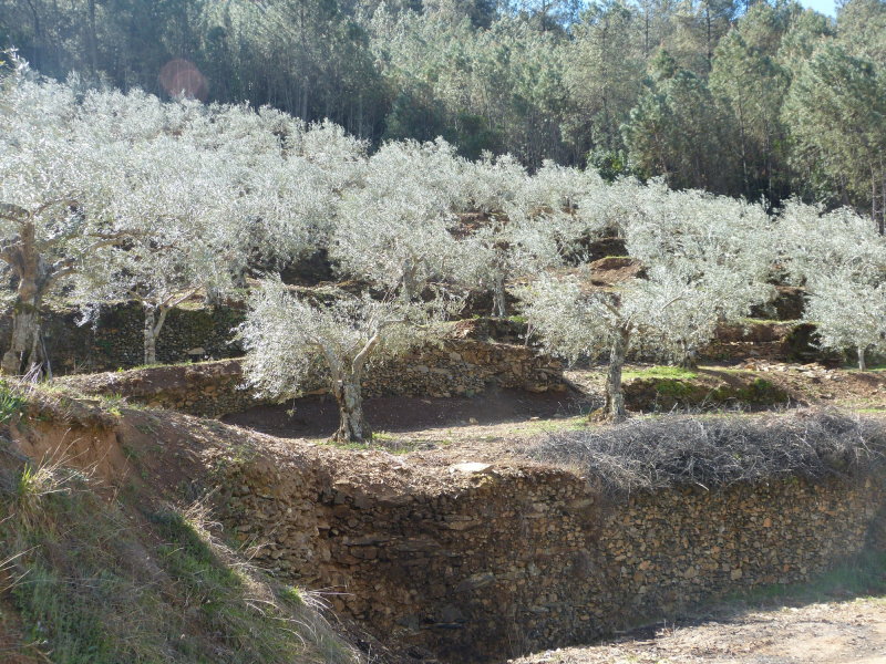 A3e58ec35ec68aee0737a425be9cf7ab