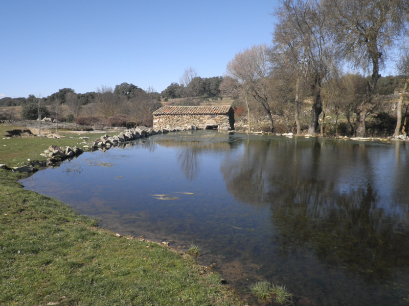 Ad707bedf31293e5492e304b5542ce17