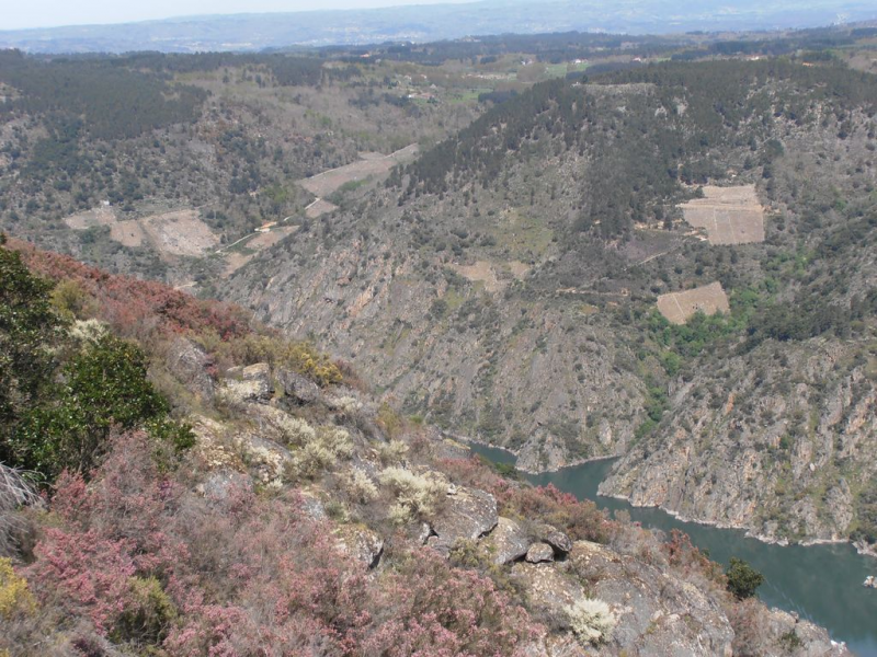 B3b89ecc443b5b6f88792e14410d5659