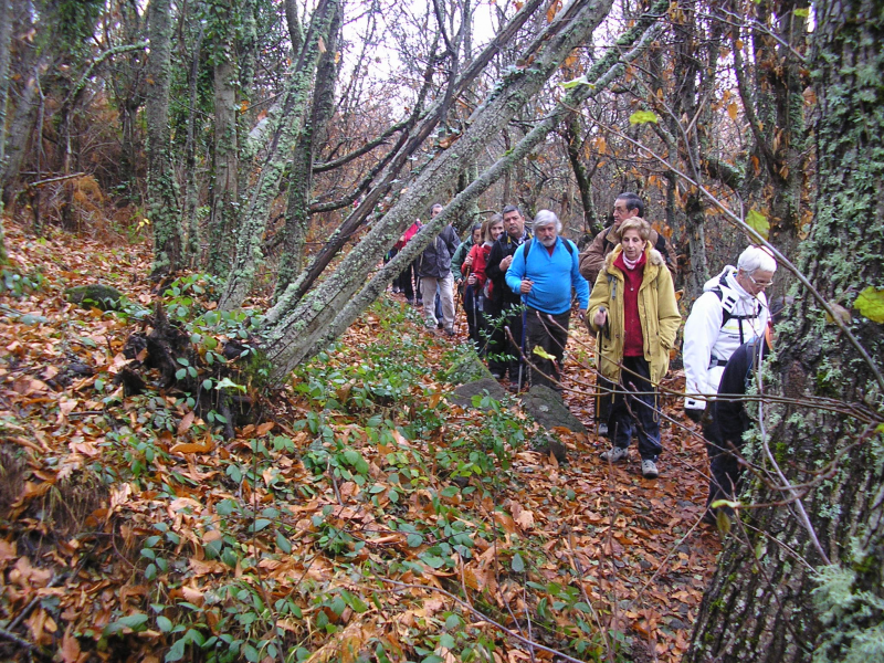 C6fcdc66fada929aeaa00c75ef279366