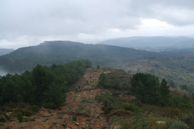 E30d767c57faea0bef9ef81ba2693730