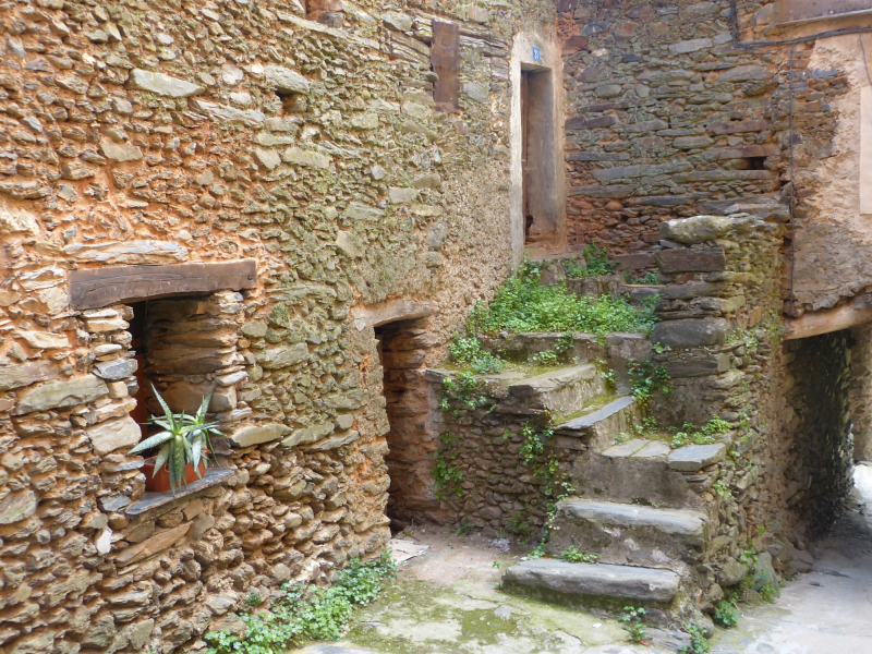 E4fffa1b56744d7d14d4f563ecf81df9