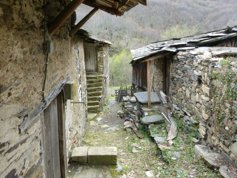 F5b35c70dc4f7c4758da559153609b02