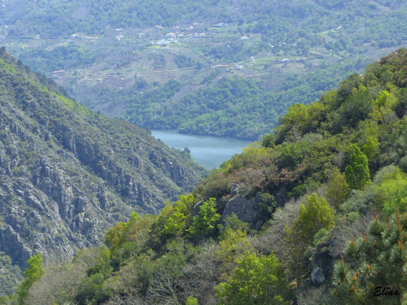 F61ece212367db8e507ad9635f9b86e7