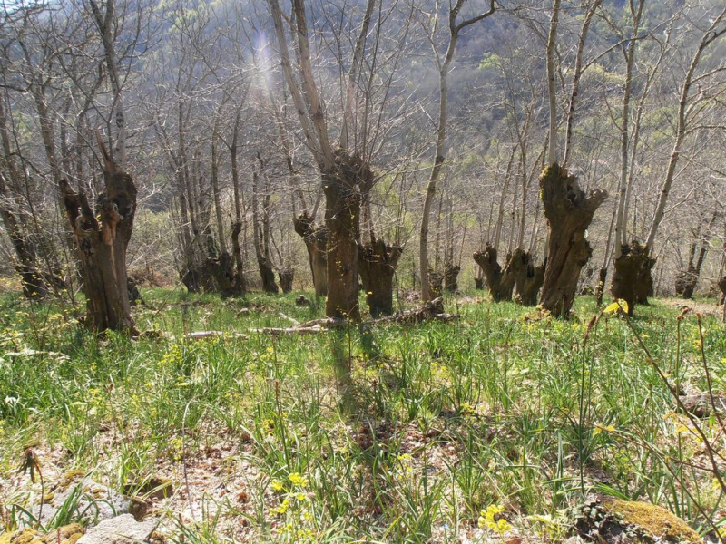 F7d4ed2a11c02a4841d7f545ddc380c2