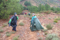 6601eb1df0d6e9771609427a93548092