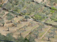 6df32b28e7da661fa9c67450dc0aec48