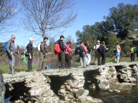 A650d9874a16e7519bf7e7e212877f48