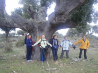 A8bbe668d72c41797b2a854f7862bd2d