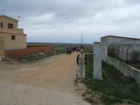 C1bfd295850556406ef453e0a819e56d